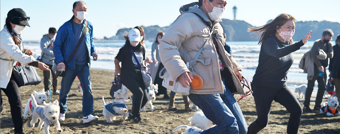 3月18日開催のビーチオフは 参加自由です 12:30~受付開始 13:00江の島背景の集合写真は参加必須！！（雨天中止）